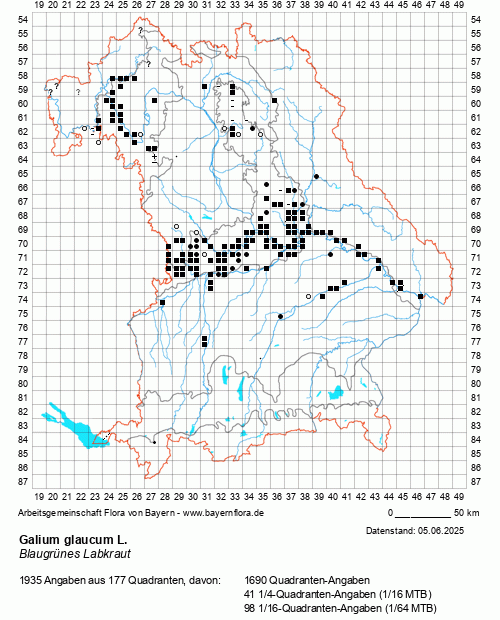 Die Verbreitungskarte zu Galium glaucum L. wird geladen ...