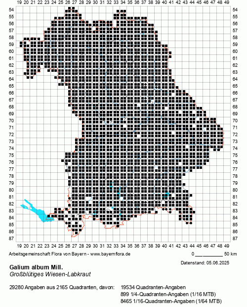 Die Verbreitungskarte zu Galium album Mill. wird geladen ...