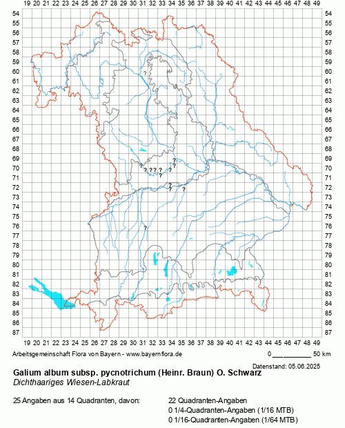Die Verbreitungskarte zu Galium album subsp. pycnotrichum (Heinr. Braun) O. Schwarz wird geladen ...