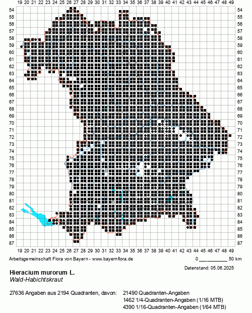 Die Verbreitungskarte zu Hieracium murorum L. wird geladen ...