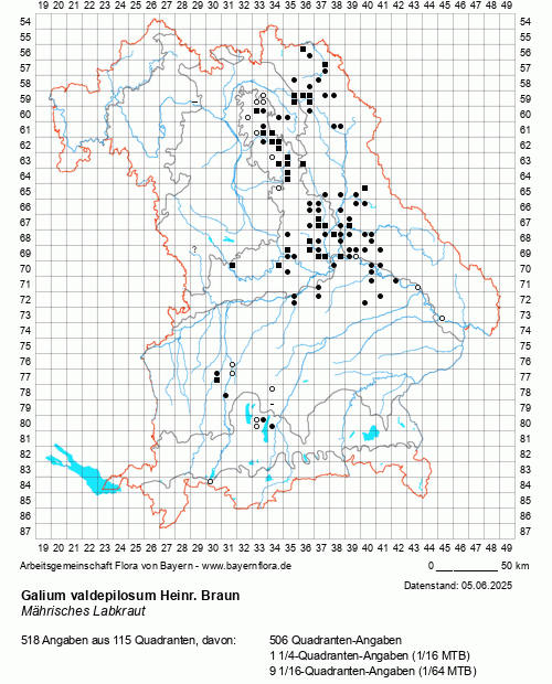 Die Verbreitungskarte zu Galium valdepilosum Heinr. Braun wird geladen ...