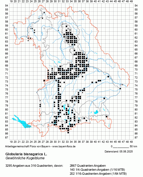 Die Verbreitungskarte zu Globularia bisnagarica L. wird geladen ...