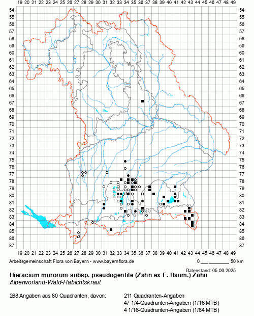 Die Verbreitungskarte zu Hieracium murorum subsp. pseudogentile (Zahn ex E. Baum.) Zahn wird geladen ...