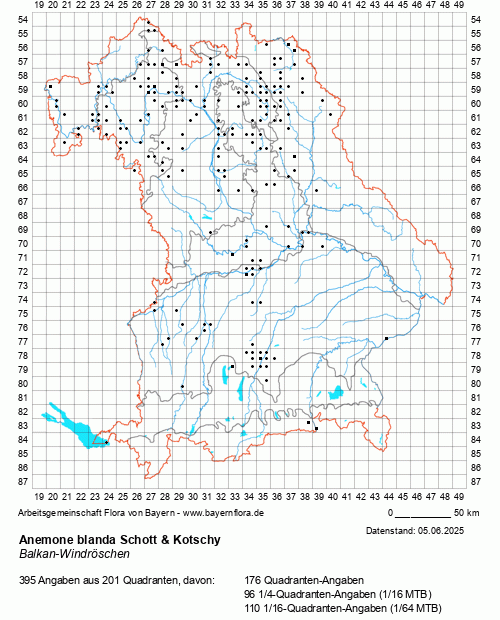 Die Verbreitungskarte zu Anemone blanda Schott & Kotschy wird geladen ...