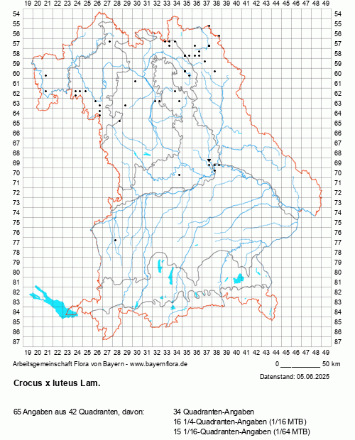 Die Verbreitungskarte zu Crocus x luteus Lam. wird geladen ...