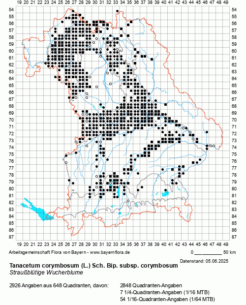 Die Verbreitungskarte zu Tanacetum corymbosum (L.) Sch. Bip. subsp. corymbosum wird geladen ...