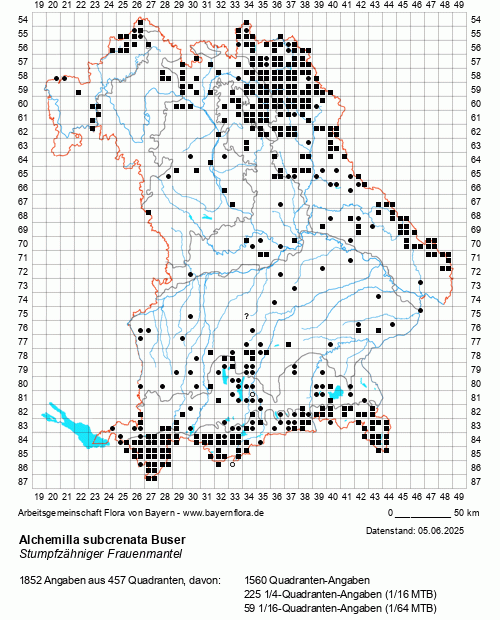 Die Verbreitungskarte zu Alchemilla subcrenata Buser wird geladen ...