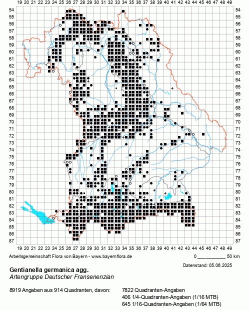 Die Verbreitungskarte zu Gentianella germanica agg. wird geladen ...