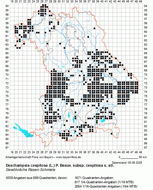 Die Verbreitungskarte zu Deschampsia cespitosa (L.) P. Beauv. subsp. cespitosa s. str. wird geladen ...