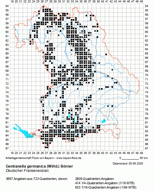 Die Verbreitungskarte zu Gentianella germanica (Willd.) Börner wird geladen ...