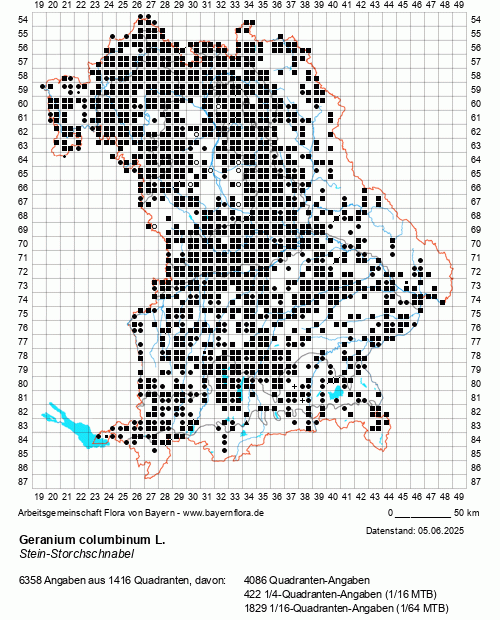 Die Verbreitungskarte zu Geranium columbinum L. wird geladen ...