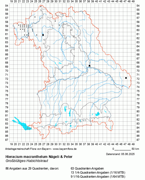 Die Verbreitungskarte zu Hieracium macranthelum Nägeli & Peter wird geladen ...
