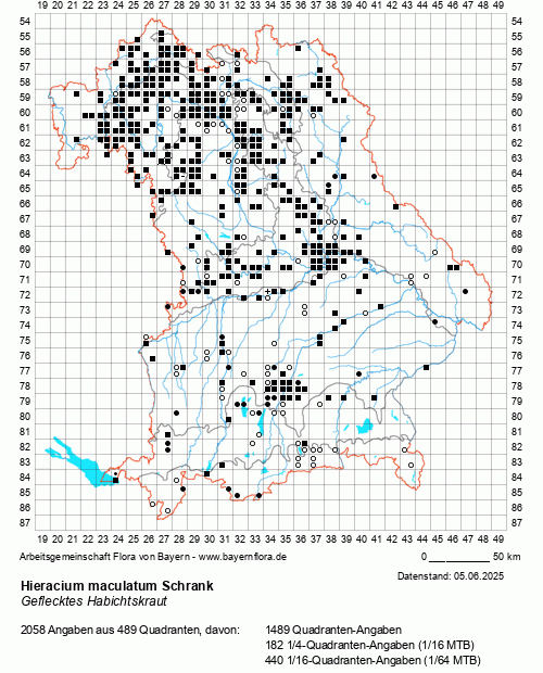 Die Verbreitungskarte zu Hieracium maculatum Schrank wird geladen ...