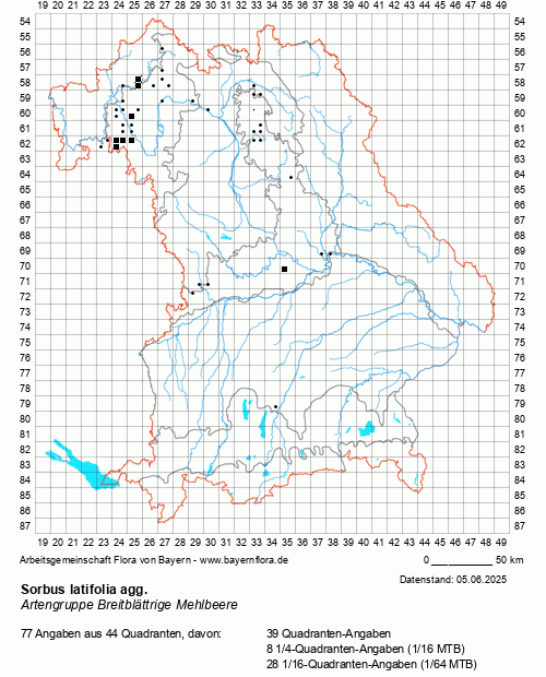 Die Verbreitungskarte zu Sorbus latifolia agg. wird geladen ...