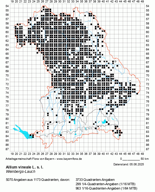 Die Verbreitungskarte zu Allium vineale L. s. l. wird geladen ...