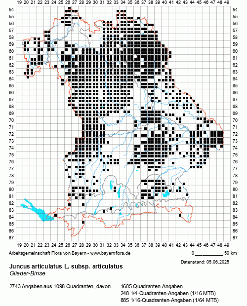 Die Verbreitungskarte zu Juncus articulatus L. subsp. articulatus wird geladen ...