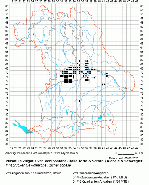 Die Verbreitungskarte zu Pulsatilla vulgaris var. oenipontana (Dalla Torre & Sarnth.) Aichele & Schwegler wird geladen ...