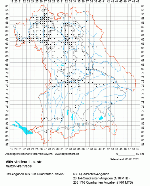 Die Verbreitungskarte zu Vitis vinifera L. s. str. wird geladen ...