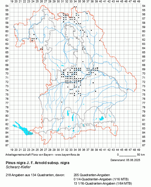 Die Verbreitungskarte zu Pinus nigra J. F. Arnold subsp. nigra wird geladen ...