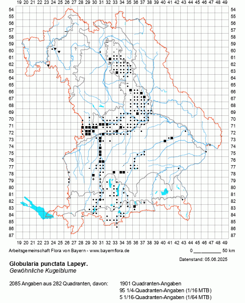 Die Verbreitungskarte zu Globularia punctata Lapeyr. wird geladen ...