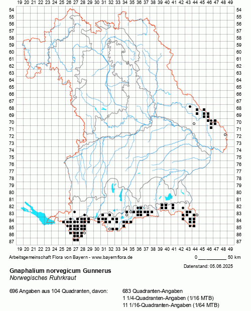 Die Verbreitungskarte zu Gnaphalium norvegicum Gunnerus wird geladen ...