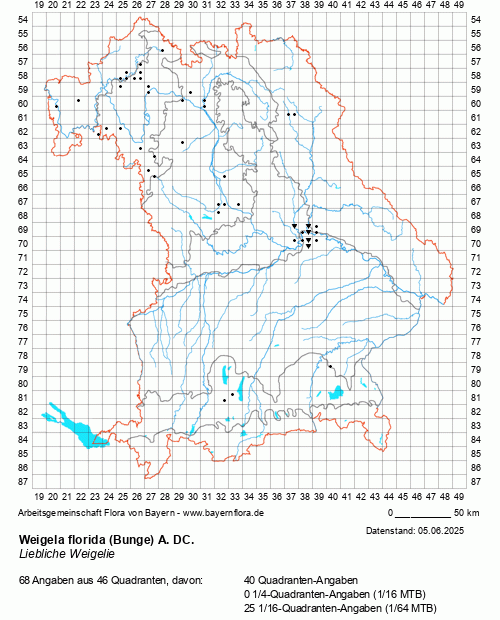 Die Verbreitungskarte zu Weigela florida (Bunge) A. DC. wird geladen ...