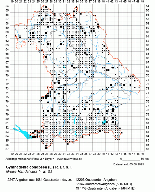 Die Verbreitungskarte zu Gymnadenia conopsea (L.) R. Br. s. l. wird geladen ...