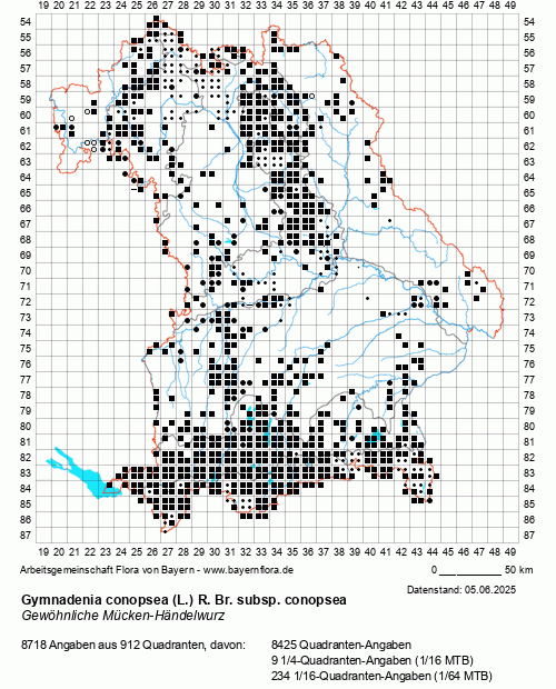 Die Verbreitungskarte zu Gymnadenia conopsea (L.) R. Br. subsp. conopsea wird geladen ...