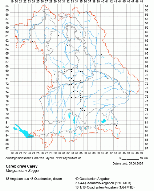Die Verbreitungskarte zu Carex grayi Carey wird geladen ...
