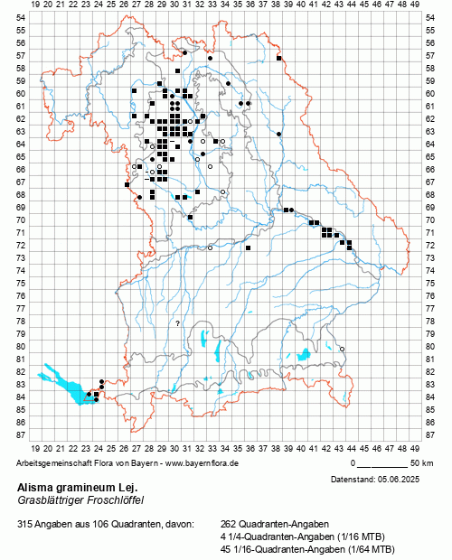 Die Verbreitungskarte zu Alisma gramineum Lej. wird geladen ...