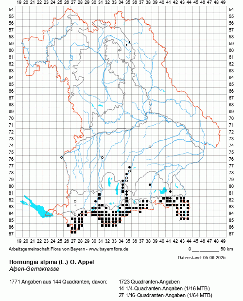 Die Verbreitungskarte zu Hornungia alpina (L.) O. Appel wird geladen ...