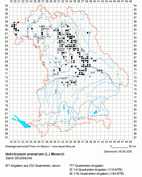 Die Verbreitungskarte zu Helichrysum arenarium (L.) Moench wird geladen ...