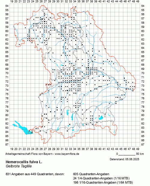 Die Verbreitungskarte zu Hemerocallis fulva L. wird geladen ...