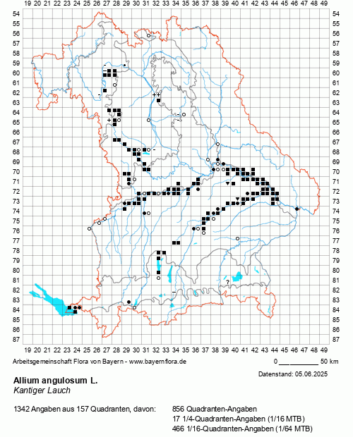 Die Verbreitungskarte zu Allium angulosum L. wird geladen ...
