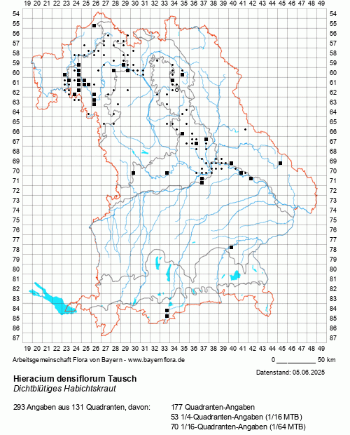 Die Verbreitungskarte zu Hieracium densiflorum Tausch wird geladen ...