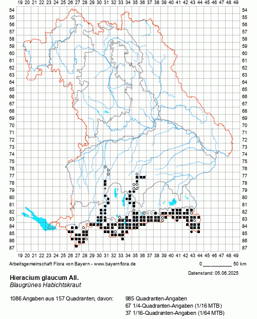 Die Verbreitungskarte zu Hieracium glaucum All. wird geladen ...
