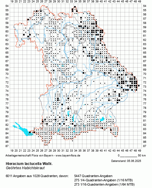 Die Verbreitungskarte zu Hieracium lactucella Wallr. wird geladen ...