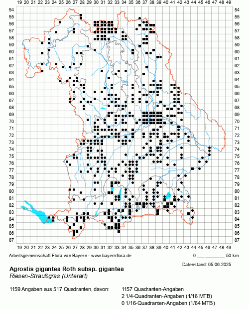 Die Verbreitungskarte zu Agrostis gigantea Roth subsp. gigantea wird geladen ...