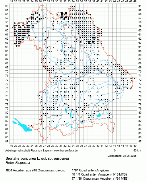 Die Verbreitungskarte zu Digitalis purpurea L. subsp. purpurea wird geladen ...