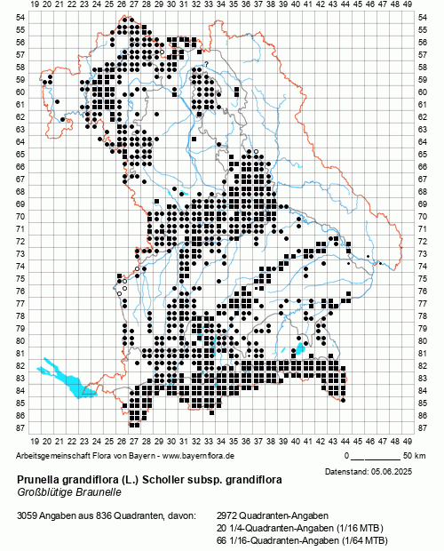 Die Verbreitungskarte zu Prunella grandiflora (L.) Scholler subsp. grandiflora wird geladen ...