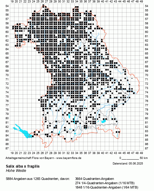 Die Verbreitungskarte zu Salix alba x fragilis wird geladen ...