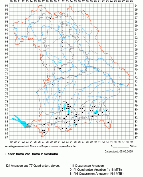Die Verbreitungskarte zu Carex flava var. flava x hostiana wird geladen ...
