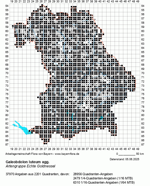 Die Verbreitungskarte zu Galeobdolon luteum agg. wird geladen ...