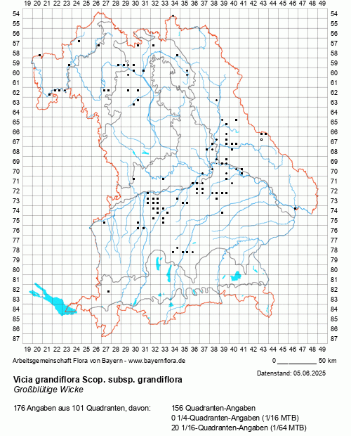 Die Verbreitungskarte zu Vicia grandiflora Scop. subsp. grandiflora wird geladen ...
