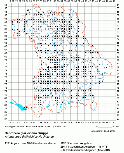 Die Verbreitungskarte zu Oenothera glazioviana Gruppe wird geladen ...