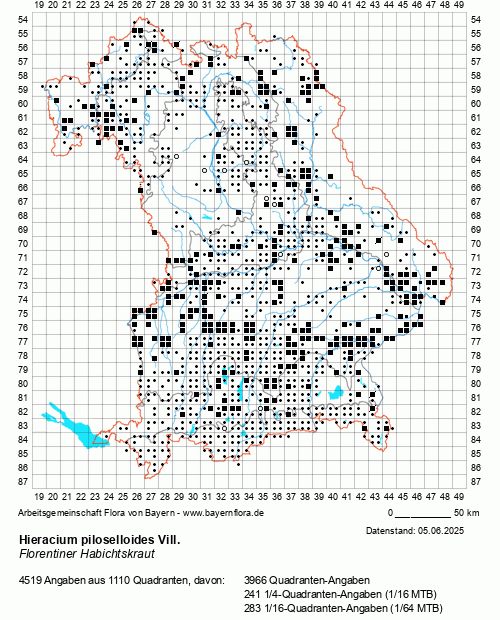 Die Verbreitungskarte zu Hieracium piloselloides Vill. wird geladen ...