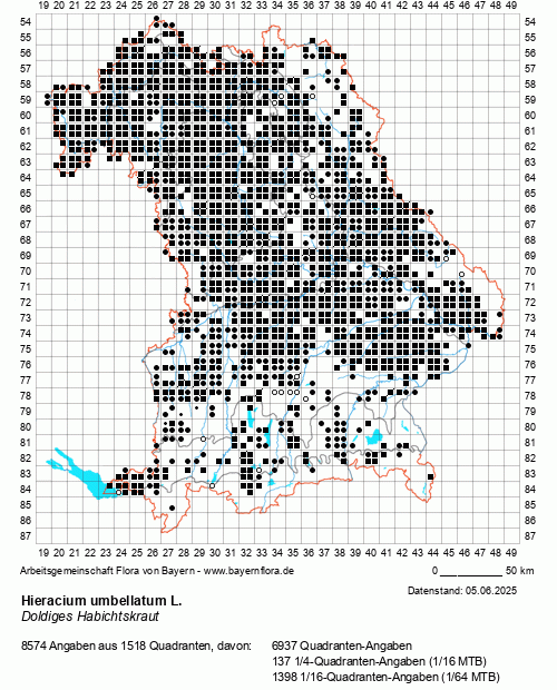 Die Verbreitungskarte zu Hieracium umbellatum L. wird geladen ...