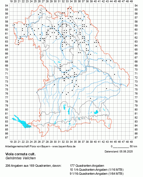 Die Verbreitungskarte zu Viola cornuta cult. wird geladen ...