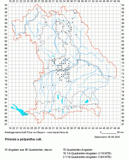 Die Verbreitungskarte zu Primula x polyantha cult. wird geladen ...