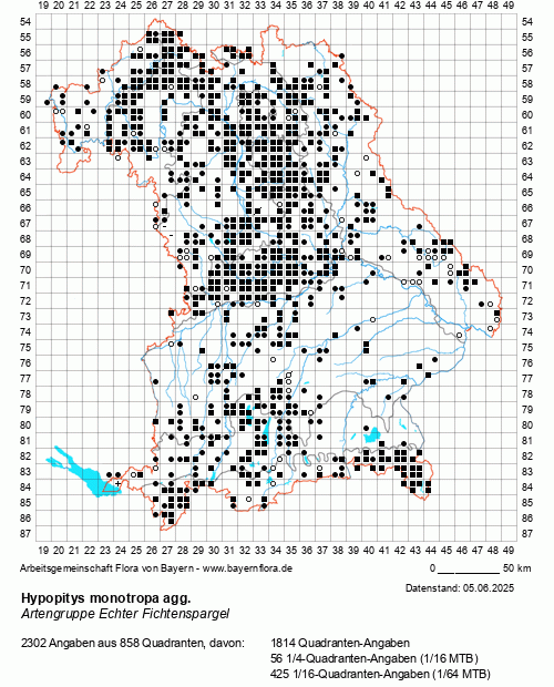 Die Verbreitungskarte zu Hypopitys monotropa agg. wird geladen ...